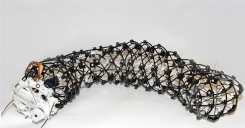 3D打印的仿生蠕虫机器人:看我能伸能屈,看我百