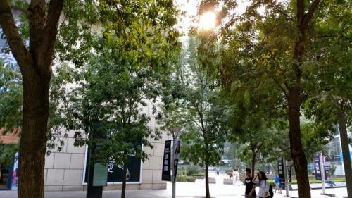 哈苏相机模块_哈苏模块 样张_moto 哈苏模块样张