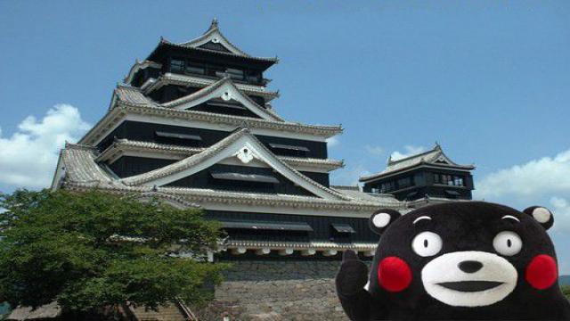 日本半导体正在衰落?一场地震让大家清醒了-最