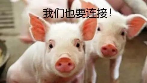 4.webp