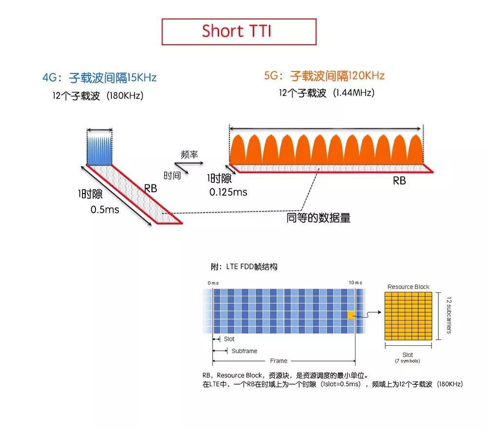 11.webp