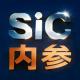 碳化硅内参