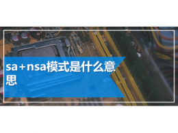 sa+nsa模式是什么意思