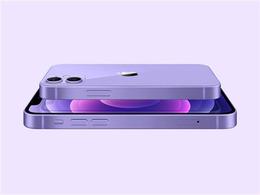 消息称苹果 iPhone 13/Pro 系列最终设计基本完成：无缘屏下指纹