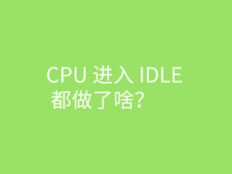 CPU 进入 IDLE 都做了啥？