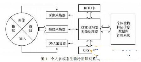 基于rfid技术的多模态生物特征识别系统设计