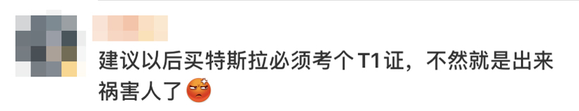 特斯拉 特斯拉