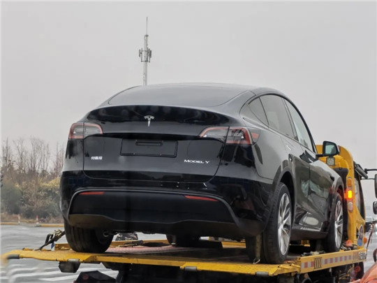 特斯拉,Model Y,Model Y销量,Model 3销量 特斯拉,Model Y,Model Y销量,Model 3销量