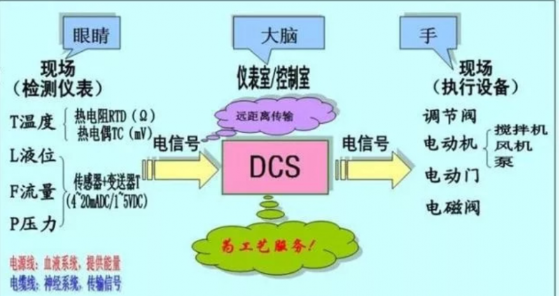 dcs是什么意思