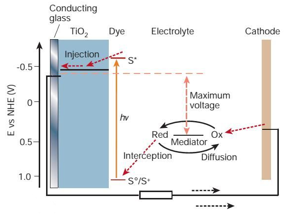 染料敏化电池工作原理_染料敏化电池结构_染料敏化电池优缺点-与非网