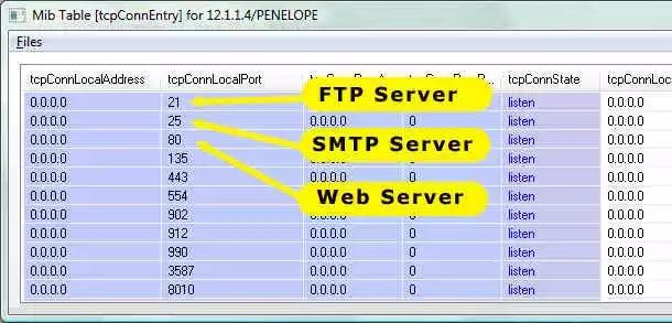 10.webp