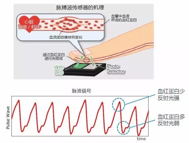 来测量脉动引起的血管容量变化,从而监测出脉搏的波形